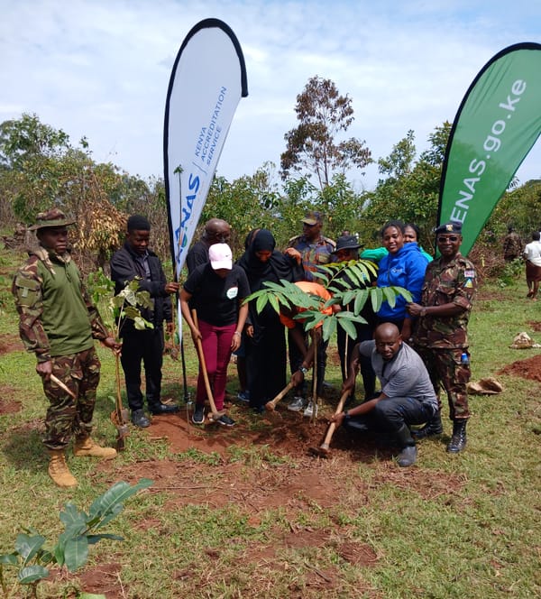 KENAS Joins Hands to Restore Kakamega Forest in Tree Growing Initiative